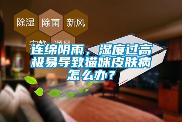 連綿陰雨，濕度過高極易導致貓咪皮膚病怎么辦？