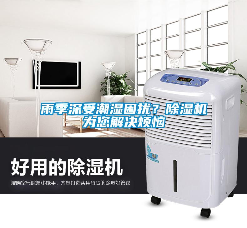 雨季深受潮濕困擾？除濕機為您解決煩惱