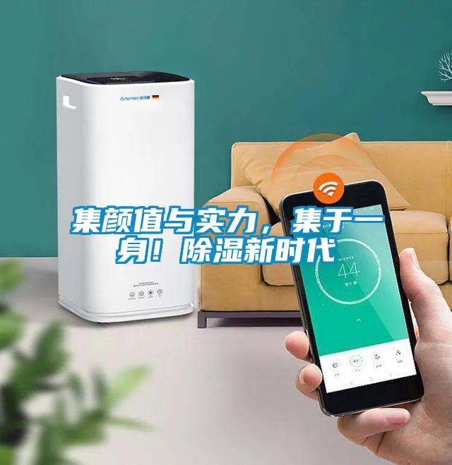 集顏值與實(shí)力，集于一身！除濕新時(shí)代