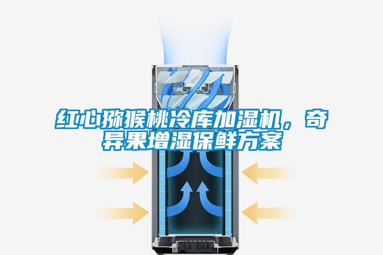 紅心獼猴桃冷庫加濕機(jī),奇異果增濕保鮮方案