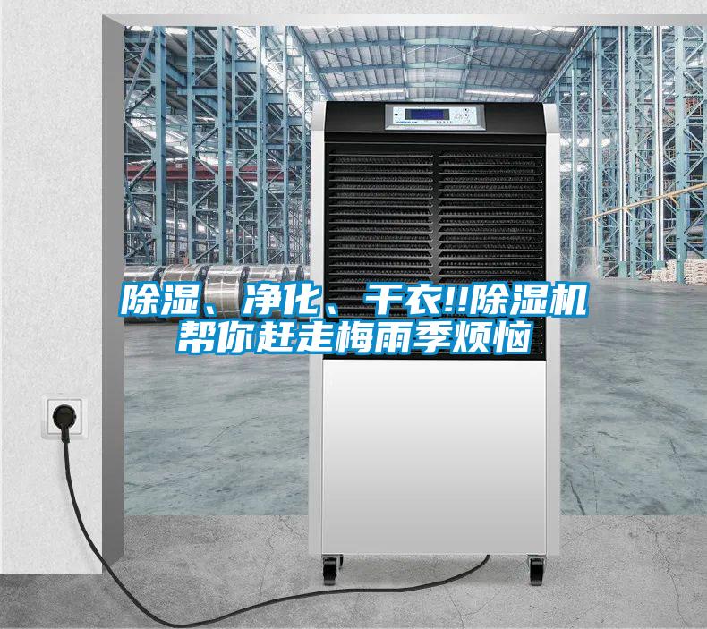 除濕、凈化、干衣!!除濕機幫你趕走梅雨季煩惱