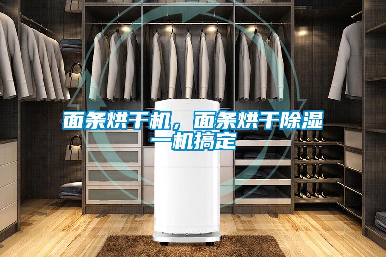 面條烘干機，面條烘干除濕一機搞定