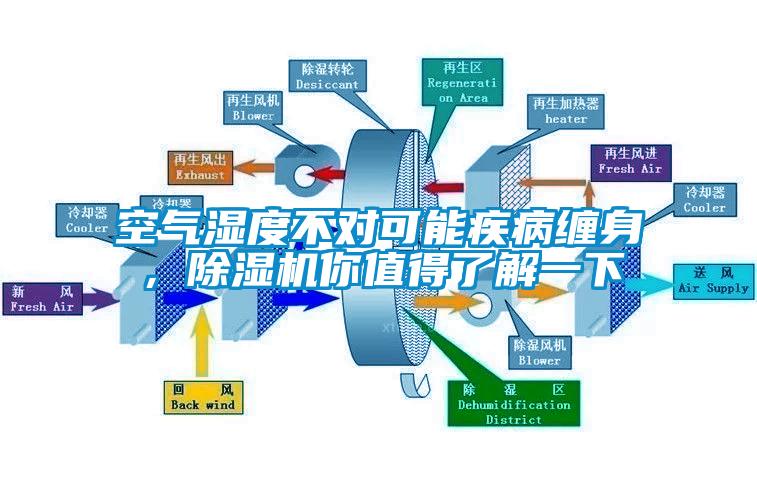 空氣濕度不對可能疾病纏身，除濕機你值得了解一下