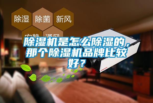 除濕機是怎么除濕的，那個除濕機品牌比較好？