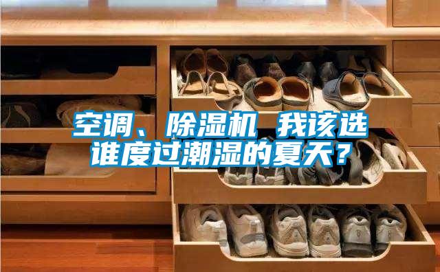 空調(diào)、除濕機(jī) 我該選誰(shuí)度過潮濕的夏天?