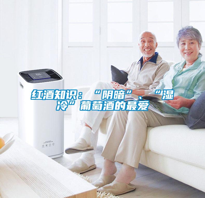 紅酒知識(shí)：“陰暗”、“濕冷”葡萄酒的最愛(ài)