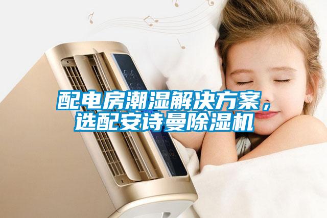 配電房潮濕解決方案，選配安詩曼除濕機
