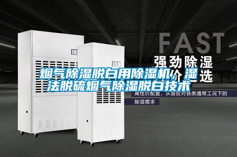 煙氣除濕脫白用除濕機，濕法脫硫煙氣除濕脫白技術