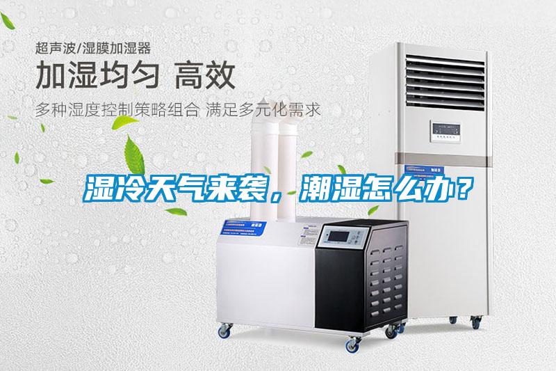 濕冷天氣來襲，潮濕怎么辦？