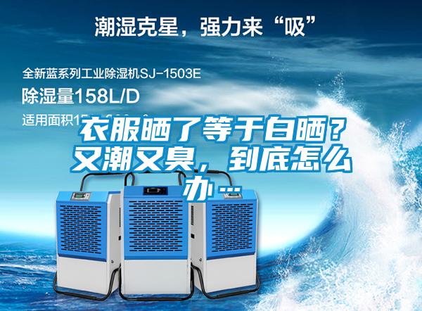 衣服曬了等于白曬？又潮又臭，到底怎么辦…