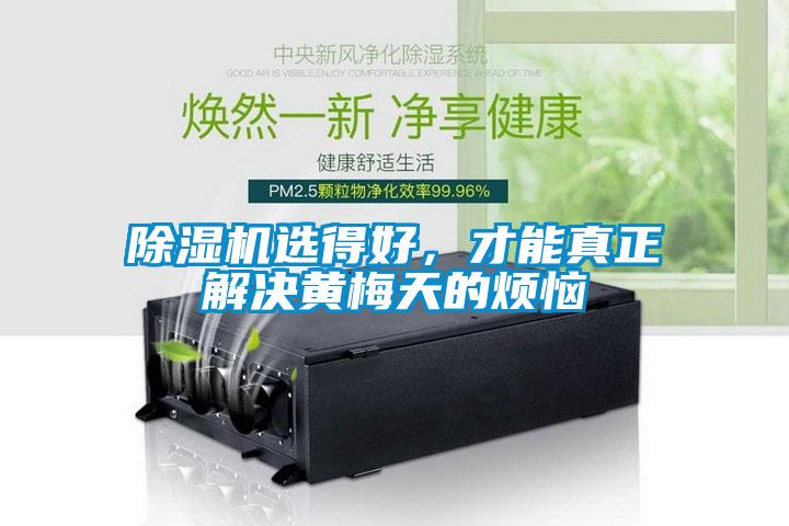 除濕機(jī)選得好，才能真正解決黃梅天的煩惱