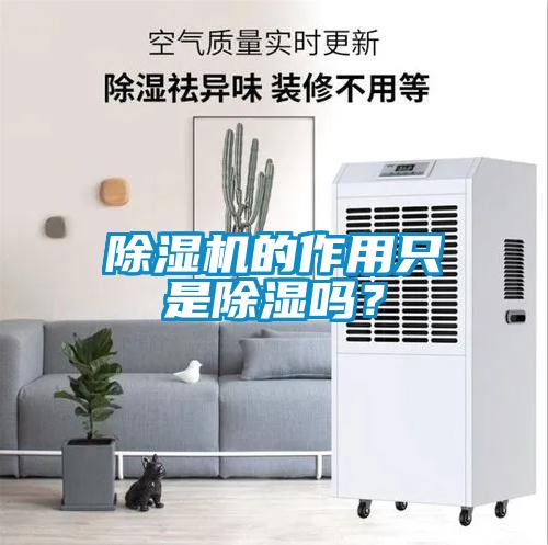 除濕機的作用只是除濕嗎？