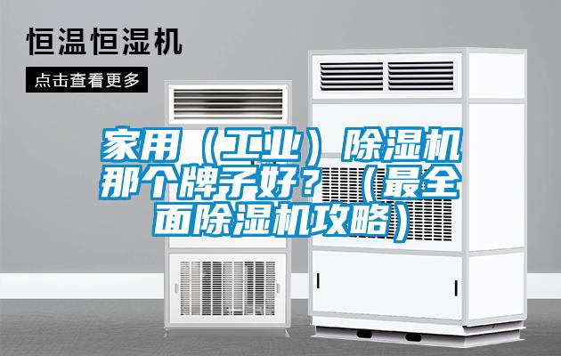 家用(工業(yè))除濕機(jī)那個(gè)牌子好?(最全面除濕機(jī)攻略)