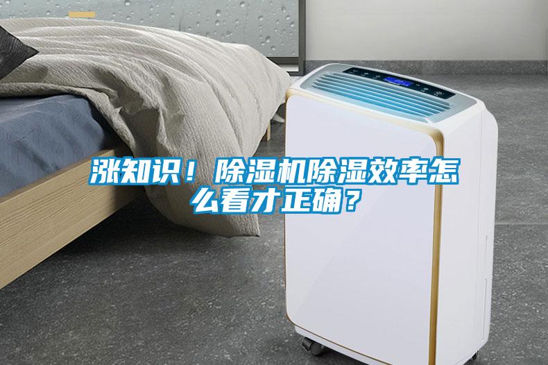 漲知識！除濕機除濕效率怎么看才正確？