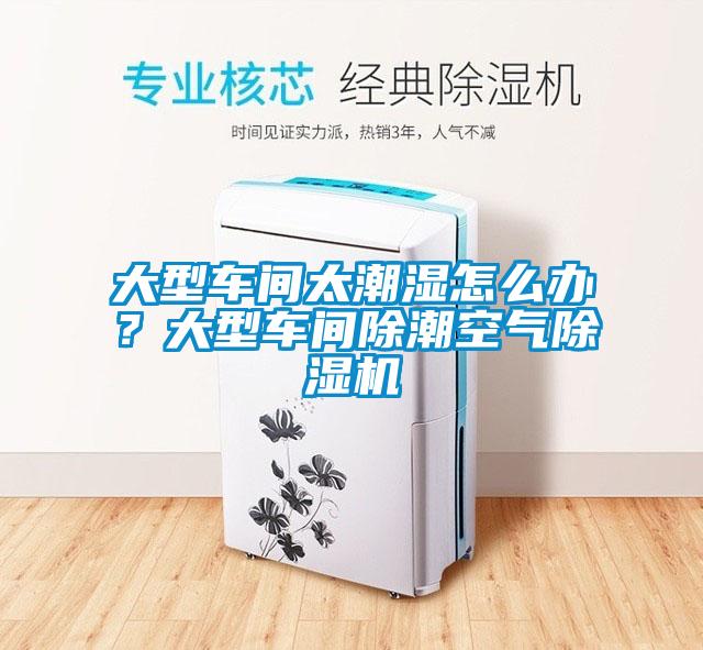 大型車間太潮濕怎么辦？大型車間除潮空氣除濕機