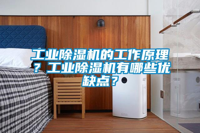 工業(yè)除濕機(jī)的工作原理？工業(yè)除濕機(jī)有哪些優(yōu)缺點(diǎn)？