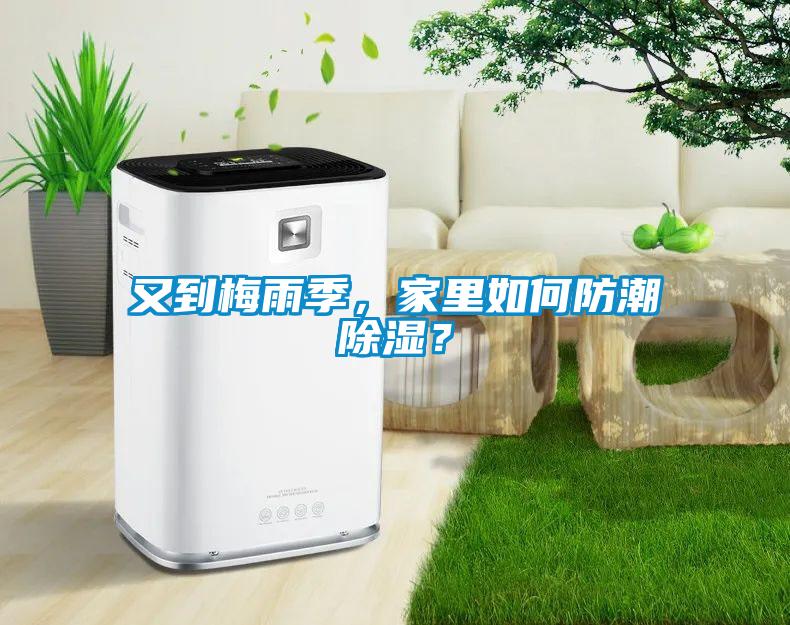 又到梅雨季，家里如何防潮除濕？