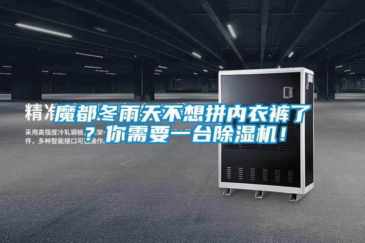魔都冬雨天不想拼內(nèi)衣褲了？你需要一臺除濕機(jī)！
