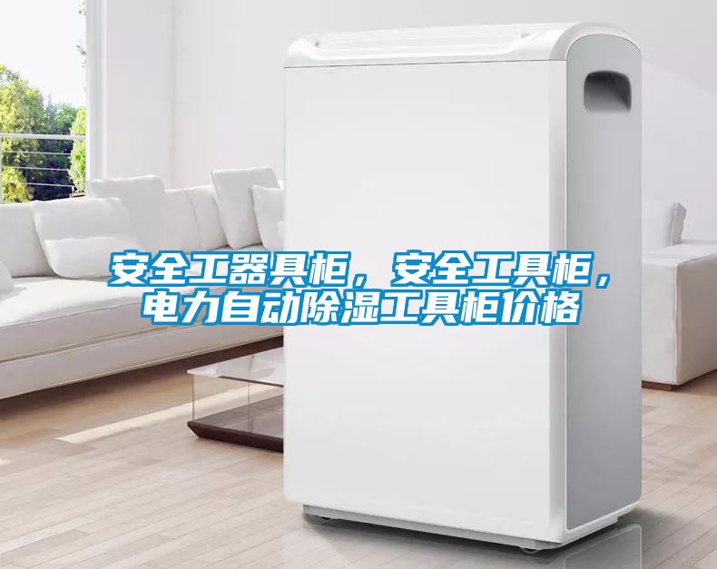 安全工器具柜，安全工具柜，電力自動除濕工具柜價格