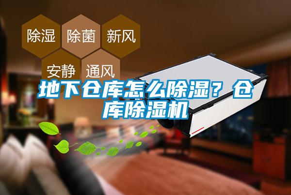 地下倉(cāng)庫(kù)怎么除濕？倉(cāng)庫(kù)除濕機(jī)