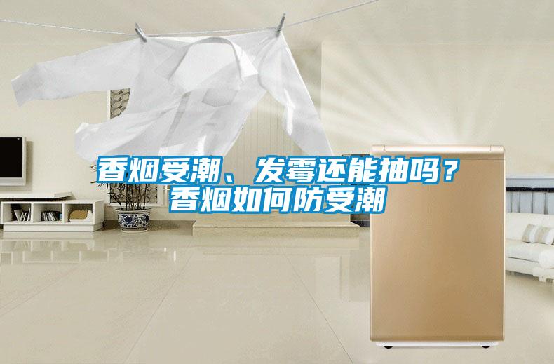 香煙受潮、發霉還能抽嗎？香煙如何防受潮