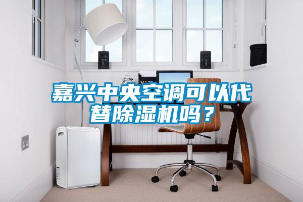 嘉興中央空調可以代替除濕機嗎？