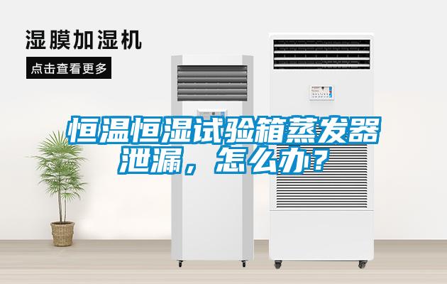 恒溫恒濕試驗(yàn)箱蒸發(fā)器泄漏，怎么辦？