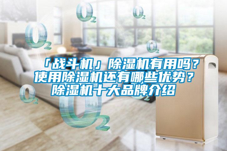 「戰(zhàn)斗機」除濕機有用嗎？使用除濕機還有哪些優(yōu)勢？除濕機十大品牌介紹