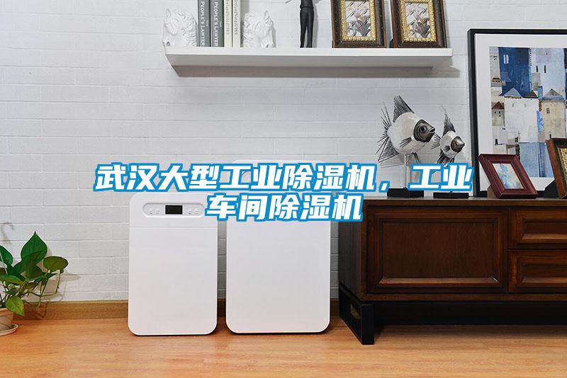 武漢大型工業(yè)除濕機，工業(yè)車間除濕機