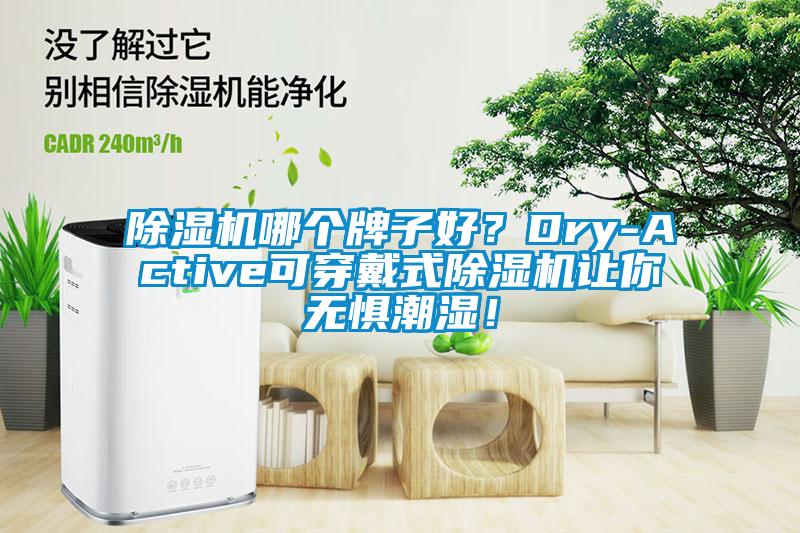 除濕機(jī)哪個(gè)牌子好？Dry-Active可穿戴式除濕機(jī)讓你無(wú)懼潮濕！