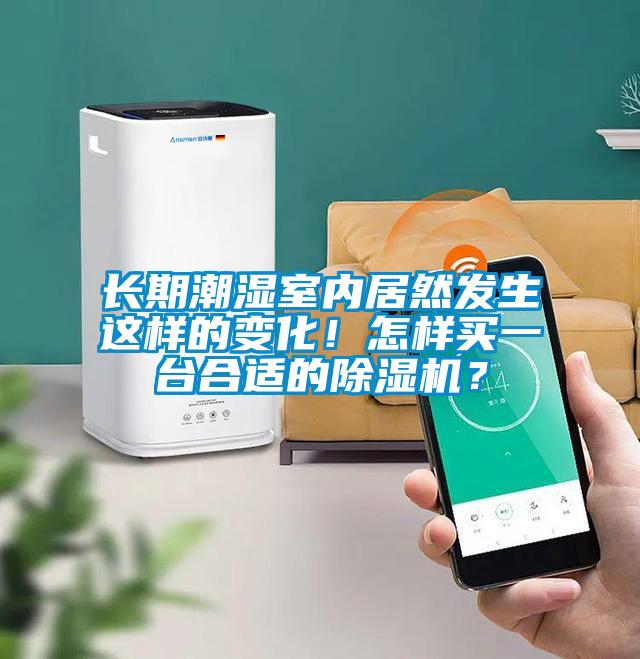 長期潮濕室內居然發生這樣的變化！怎樣買一臺合適的除濕機？