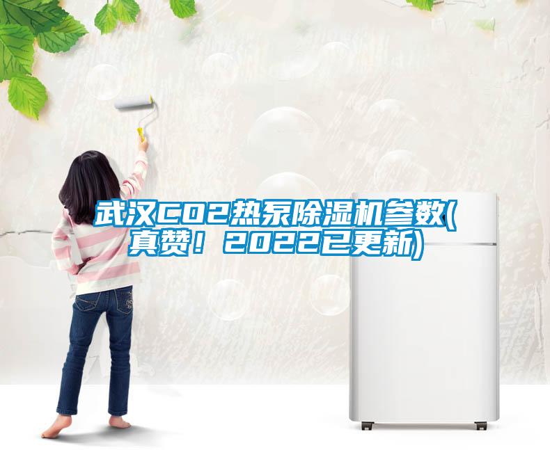 武漢CO2熱泵除濕機參數(真贊！2022已更新)