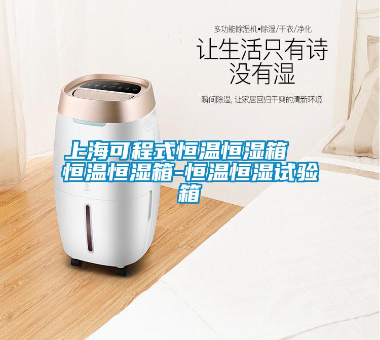 上?？沙淌胶銣睾銤裣? 恒溫恒濕箱-恒溫恒濕試驗箱
