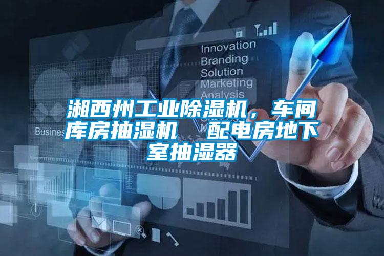 湘西州工業(yè)除濕機，車間庫房抽濕機  配電房地下室抽濕器
