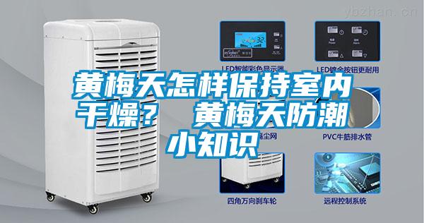 黃梅天怎樣保持室內干燥？ 黃梅天防潮小知識