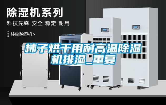 柿子烘干用耐高溫除濕機排濕_重復(fù)