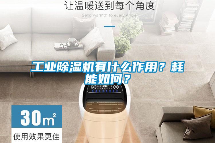 工業(yè)除濕機有什么作用？耗能如何？