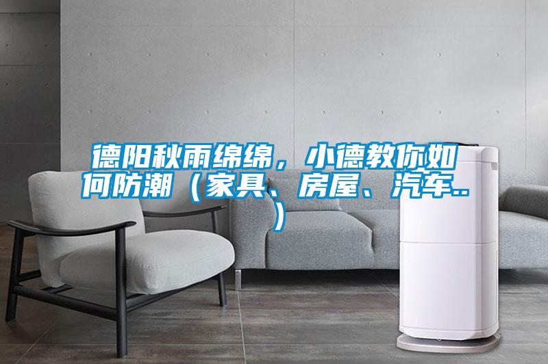 德陽秋雨綿綿，小德教你如何防潮（家具、房屋、汽車..）