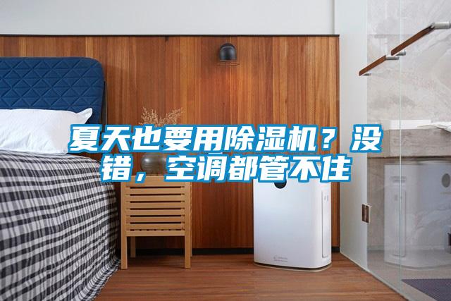 夏天也要用除濕機(jī)？沒(méi)錯(cuò)，空調(diào)都管不住