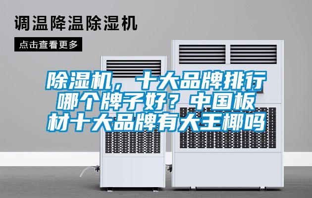 除濕機，十大品牌排行哪個牌子好？中國板材十大品牌有大王椰嗎