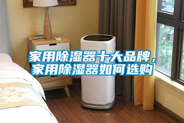 家用除濕器十大品牌，家用除濕器如何選購