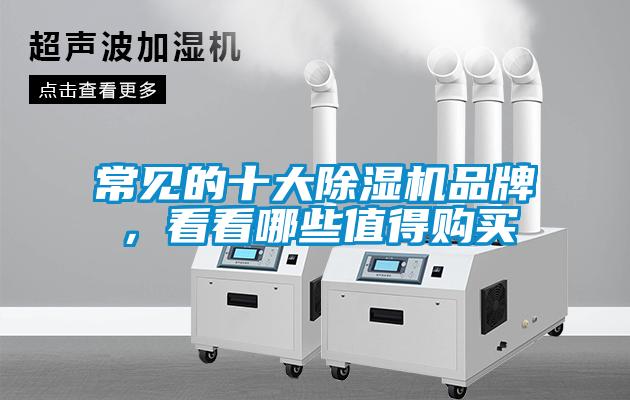 常見的十大除濕機品牌，看看哪些值得購買