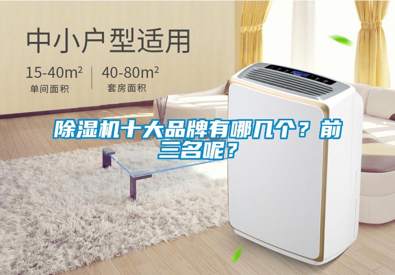 除濕機十大品牌有哪幾個？前三名呢？