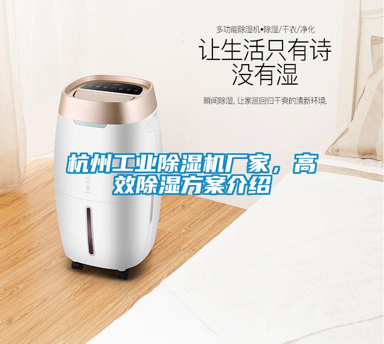 杭州工業除濕機廠家，高效除濕方案介紹