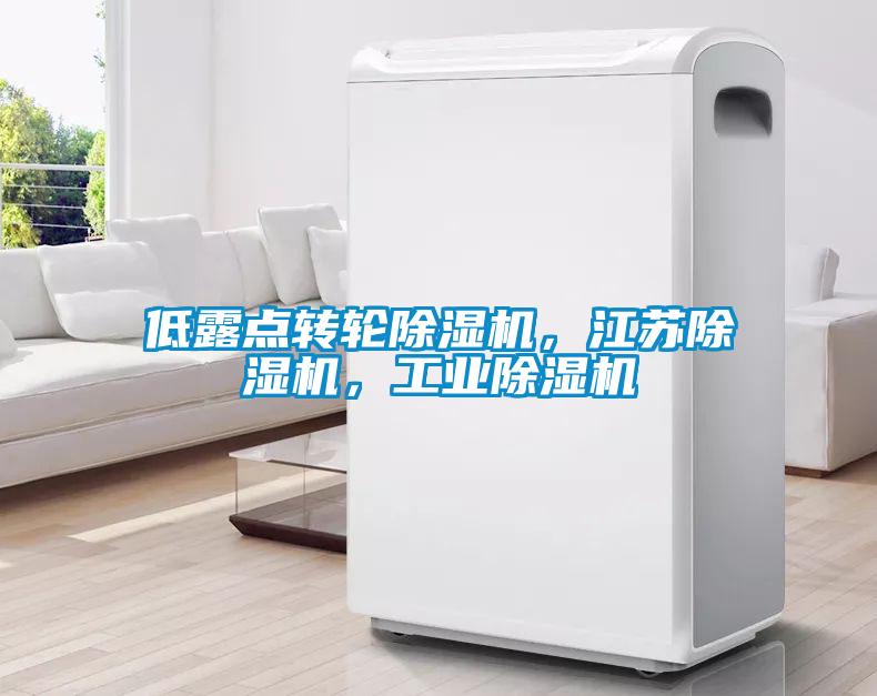 低露點(diǎn)轉(zhuǎn)輪除濕機(jī)，江蘇除濕機(jī)，工業(yè)除濕機(jī)