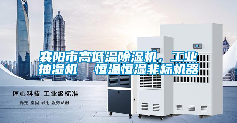 襄陽市高低溫除濕機，工業(yè)抽濕機  恒溫恒濕非標機器