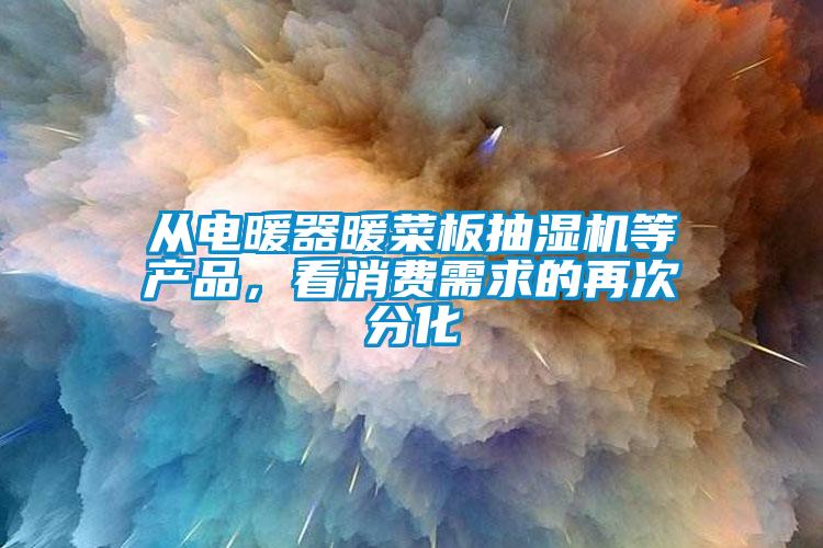 從電暖器暖菜板抽濕機(jī)等產(chǎn)品，看消費(fèi)需求的再次分化