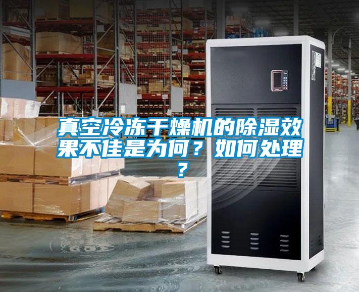 真空冷凍干燥機(jī)的除濕效果不佳是為何？如何處理？