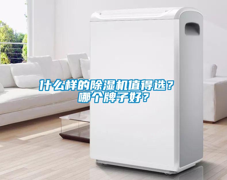 什么樣的除濕機(jī)值得選？ 哪個牌子好？