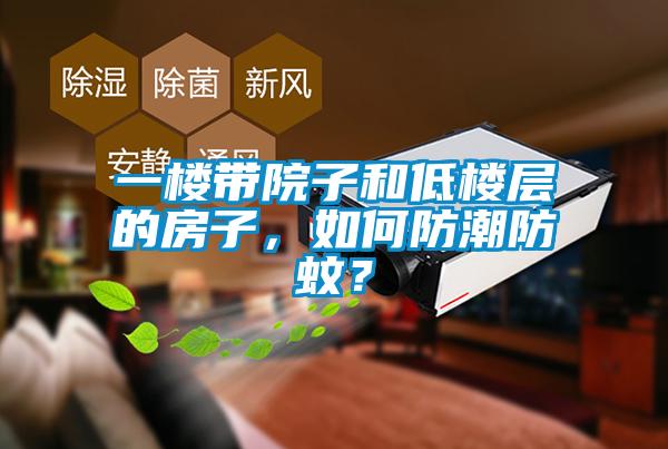 一樓帶院子和低樓層的房子，如何防潮防蚊？